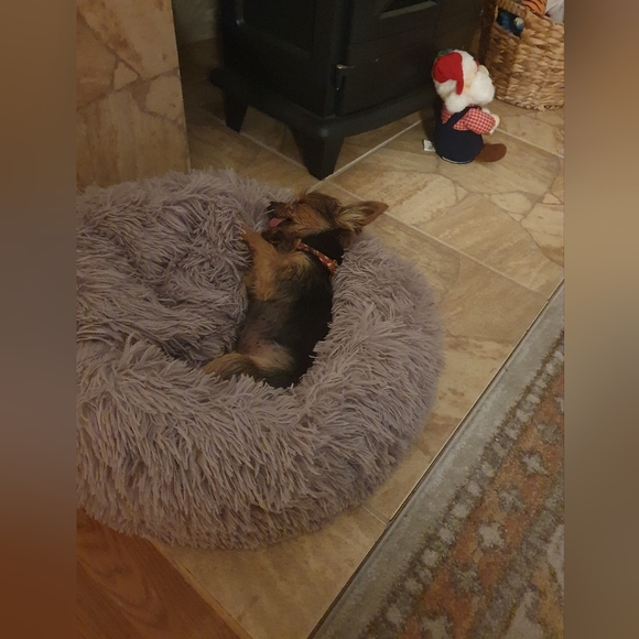 Meet your Posher, Brenda - Picture 1 of 2